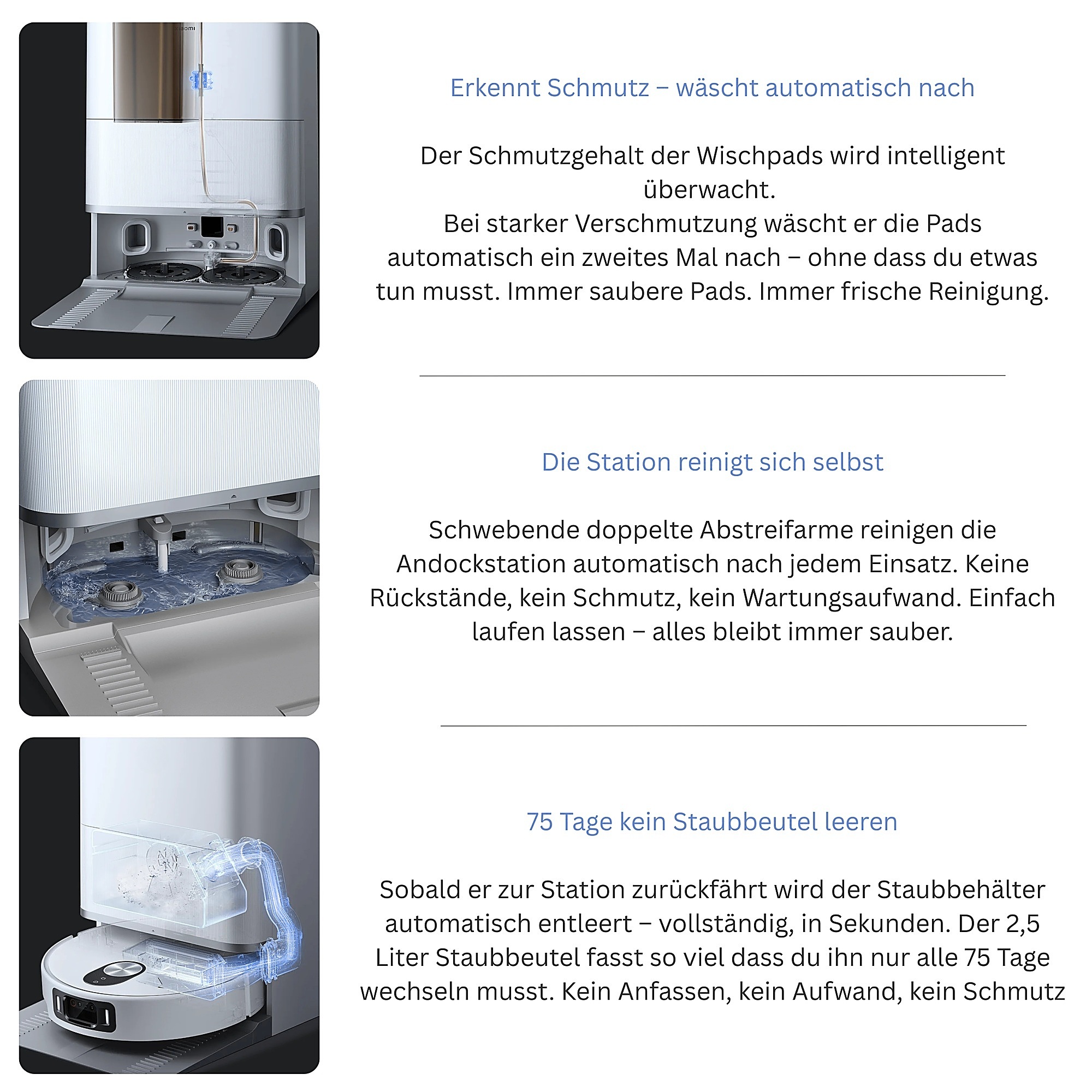 Myrics Bild 19